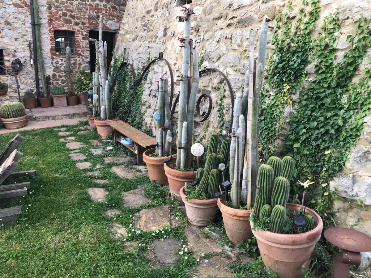Case Di Vetulonia Castiglione della Pescaia Exterior foto